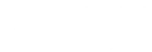 aseguradora solidaria