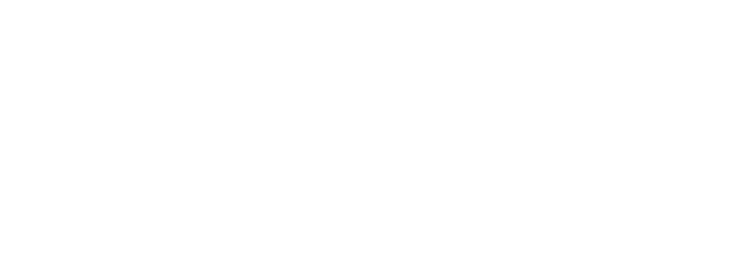 aseguradora solidaria